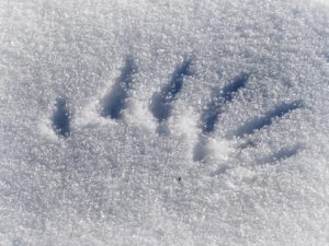 Winter im Schloss Berge in Gelsenkirchen Buer im Februar 2021