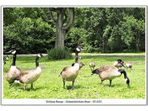 Schloss Berge in Gelsenkirchen Buer im Juli 2021