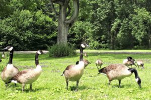Schloss Berge in Gelsenkirchen Buer im Juli 2021