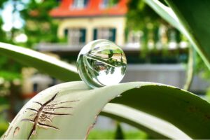 Schloss Berge in Gelsenkirchen Buer im Juli 2021