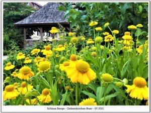 Schloss Berge in Gelsenkirchen Buer im Juli 2021