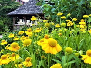 Schloss Berge in Gelsenkirchen Buer im Juli 2021