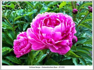 Schloss Berge in Gelsenkirchen Buer im Juli 2021