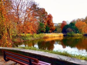 Schloss Berge in Gelsenkirchen Buer im November 2021