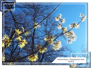 Schloss Berge in Gelsenkirchen Buer im Februar 2019