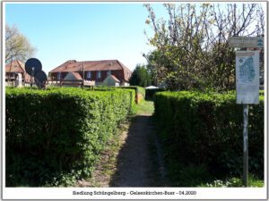 Siedlung Schüngelberg 4 Siedlung Schüngelberg in Gelsenkirchen Buer im April 2020