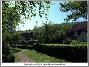 Siedlung Schüngelberg 7 Siedlung Schüngelberg in Gelsenkirchen Buer im April 2020