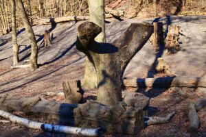 Die Halde Rheinelbe in Gelsenkirchen Ückendorf im März 2022