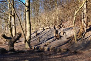 Die Halde Rheinelbe in Gelsenkirchen Ückendorf im März 2022