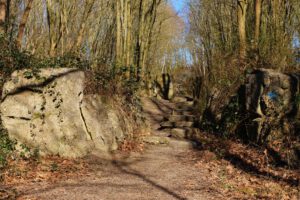 Die Halde Rheinelbe in Gelsenkirchen Ückendorf im März 2022