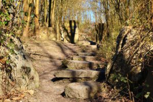 Die Halde Rheinelbe in Gelsenkirchen Ückendorf im März 2022