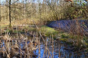 Die Halde Rheinelbe in Gelsenkirchen Ückendorf im März 2022