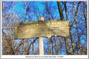 Die Halde Rheinelbe in Gelsenkirchen Ückendorf im März 2022