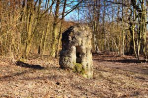 Die Halde Rheinelbe in Gelsenkirchen Ückendorf im März 2022