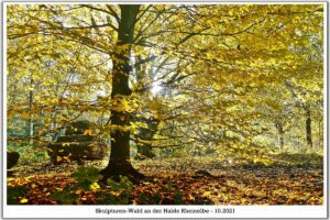 Skulpturen-Wald Halde Rheinelbe in Gelsenkirchen im Oktober 2021