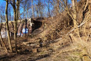 Die Halde Rheinelbe in Gelsenkirchen Ückendorf im März 2022