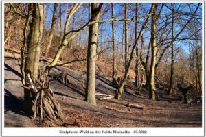 Die Halde Rheinelbe in Gelsenkirchen Ückendorf im März 2022