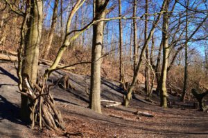 Die Halde Rheinelbe in Gelsenkirchen Ückendorf im März 2022