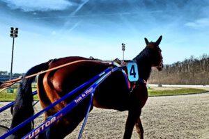 Trabrennbahn Gelsenkirchen Feldmark im März 2022