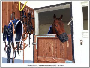 Trabrennbahn Gelsenkirchen Feldmark im März 2022