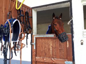 Trabrennbahn Gelsenkirchen Feldmark im März 2022