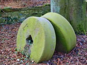 Wasserschloss Lüttinghof in Gelsenkirchen Hassel im März 2021