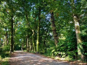 Wasserschloss Lüttinghof in Gelsenkirchen Hassel im September 2020