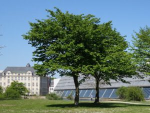 Der Wissenschaftspark in Gelsenkirchen Ückendorf im April 2020