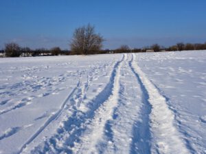 Winterbilder der Zeche Consolidation in Gelsenkirchen Bismarck im Februar 2021