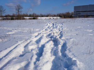 Winterbilder der Zeche Consolidation in Gelsenkirchen Bismarck im Februar 2021