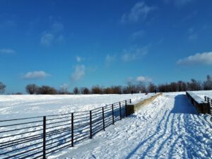 Winterbilder der Zeche Consolidation in Gelsenkirchen Bismarck im Februar 2021