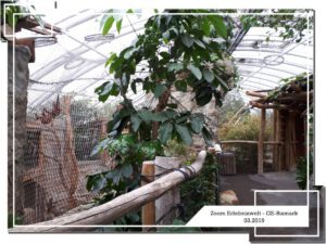 Der Zoo Gelsenkirchen - Die Zoom Erlebniswelt im März 2019