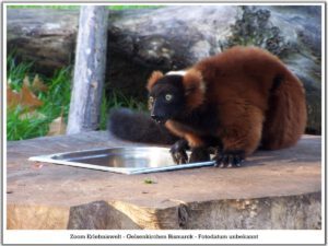 Der Zoo Gelsenkirchen - Die Zoom Erlebniswelt