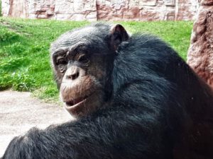 Der Zoo Gelsenkirchen - Die Zoom Erlebniswelt im September2020