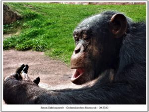 Der Zoo Gelsenkirchen - Die Zoom Erlebniswelt im September2020