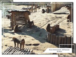 Der Zoo Gelsenkirchen - Die Zoom Erlebniswelt im März 2019