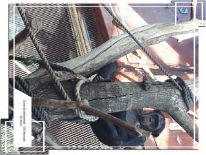 Der Zoo Gelsenkirchen - Die Zoom Erlebniswelt im März 2019