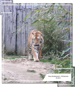 Der Zoo Gelsenkirchen - Die Zoom Erlebniswelt im April 2019