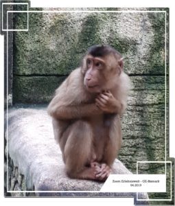 Der Zoo Gelsenkirchen - Die Zoom Erlebniswelt im April 2019