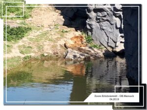 Der Zoo Gelsenkirchen - Die Zoom Erlebniswelt im April 2019