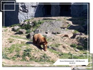 Der Zoo Gelsenkirchen - Die Zoom Erlebniswelt im April 2019