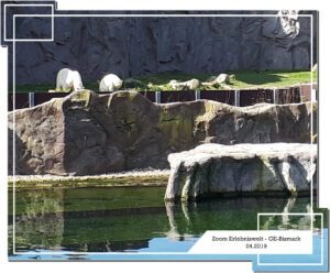 Der Zoo Gelsenkirchen - Die Zoom Erlebniswelt im April 2019