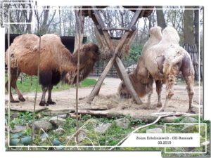 Der Zoo Gelsenkirchen - Die Zoom Erlebniswelt im März 2019