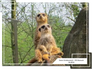 Der Zoo Gelsenkirchen - Die Zoom Erlebniswelt im April 2014
