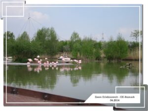 Der Zoo Gelsenkirchen - Die Zoom Erlebniswelt im April 2014