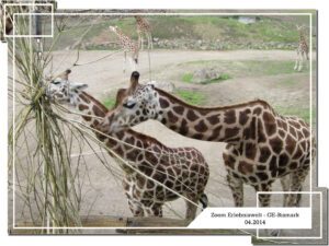 Der Zoo Gelsenkirchen - Die Zoom Erlebniswelt im April 2014
