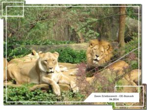 Der Zoo Gelsenkirchen - Die Zoom Erlebniswelt im April 2014