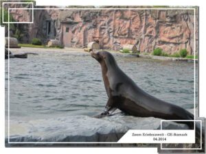 Der Zoo Gelsenkirchen - Die Zoom Erlebniswelt im April 2014