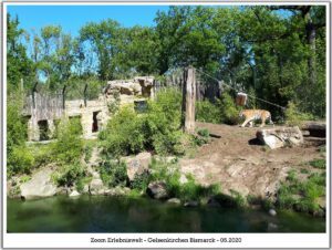 Der Zoo Gelsenkirchen - Die Zoom Erlebniswelt im Mai 2020