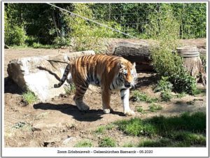 Der Zoo Gelsenkirchen - Die Zoom Erlebniswelt im Mai 2020